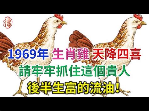 1969雞五行|【1969年生肖五行】1969年生肖五行屬什麼？51歲屬雞人命中註。